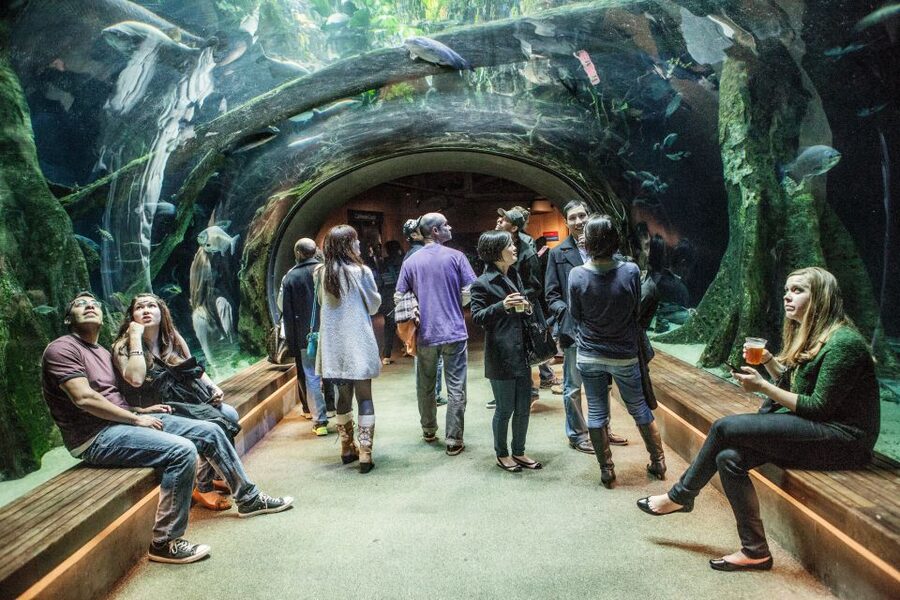 California Academy of Sciences Thursday NightLife Admission - DJs, cocktails, and the monthly theme