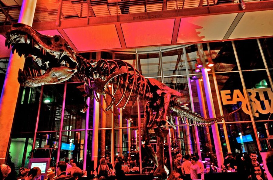 California Academy of Sciences Thursday NightLife Admission - How to use the four-hour admission