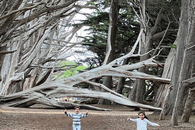 Carmel, Monterey and Big Sur Tour Private Tour from San Francisco - Monterey and Pacific Grove by the water