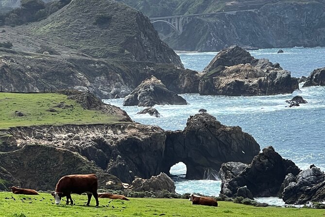 Carmel, Monterey and Big Sur Tour Private Tour from San Francisco - Big Sur, Bixby Bridge, and the main coastal views