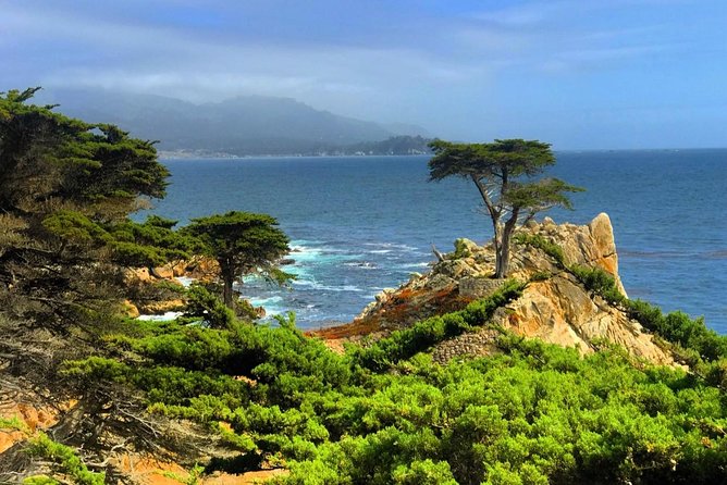 Carmel / Monterey Hwy 1 tour - Why this coastal route works so well from San Francisco