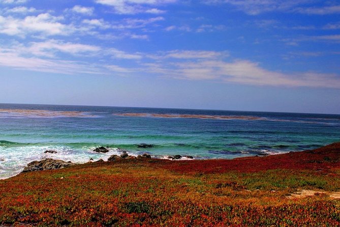 Carmel / Monterey Hwy 1 tour - Highway 1: give the drive room to breathe