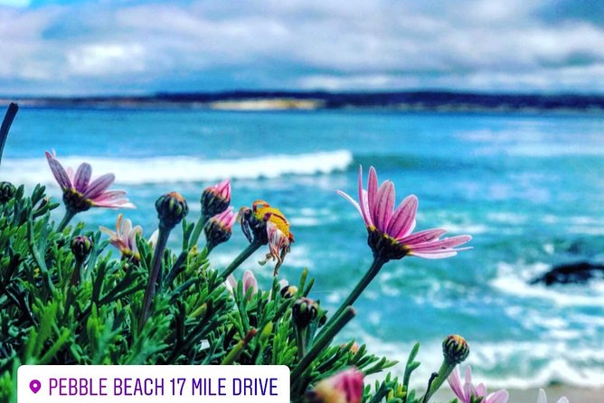 Carmel / Monterey Hwy 1 tour - Food, photos, and the guide’s role