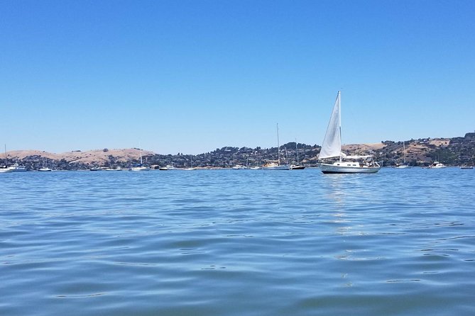 Combo Small-Group Tour: SF City plus Muir Woods & Sausalito - Sausalito brings bay views and a short break