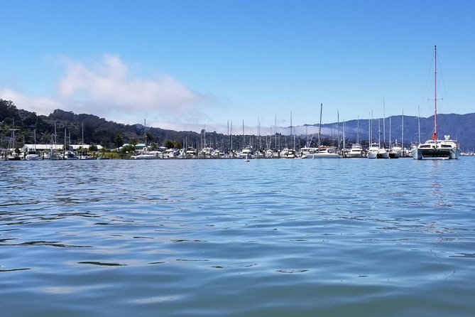 Combo Small-Group Tour: SF City plus Muir Woods & Sausalito - The two-tour structure can affect your day