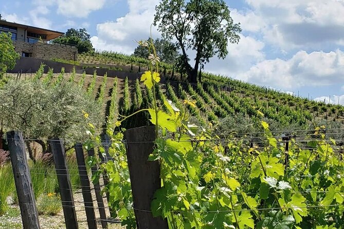 Custom 8-Hour Napa Valley Wine Tour in a Luxury Vehicle - Who will get the most from this tour
