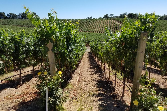 Custom 8-Hour Napa Valley Wine Tour in a Luxury Vehicle - How to plan a better winery schedule