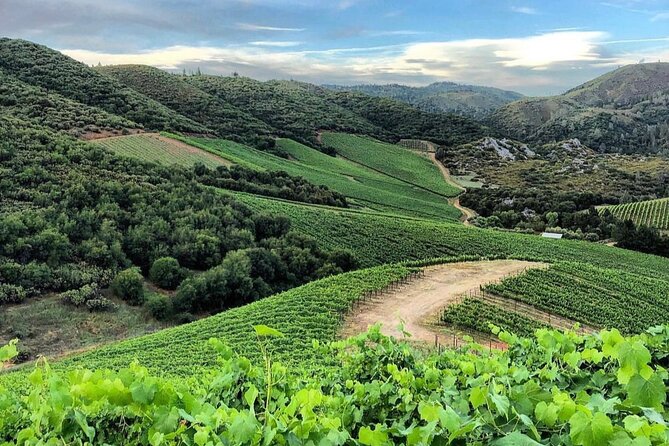 Discover Napa Valley’s Hidden Gems with Local Sommelière - What the $595 price really covers