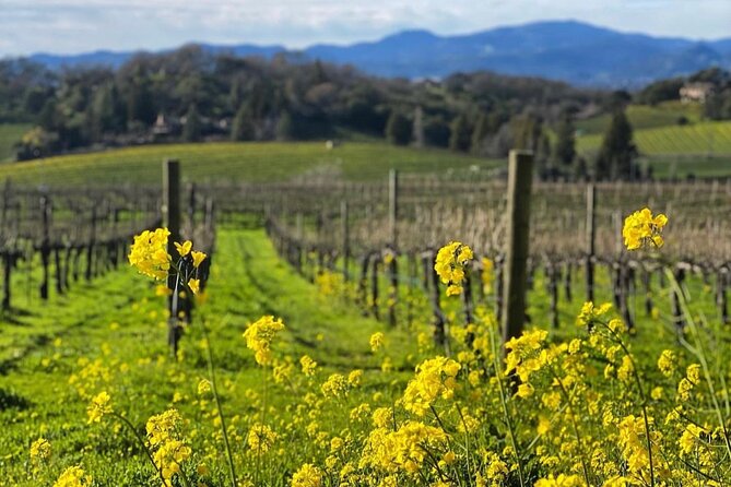 Discover Napa Valley’s Hidden Gems with Local Sommelière - Who should book this Napa day