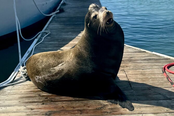 Fisherman’s Wharf & Pier 39 Food Tour - Includes Full Meal, 3 hrs - A playful break at Musée Mécanique