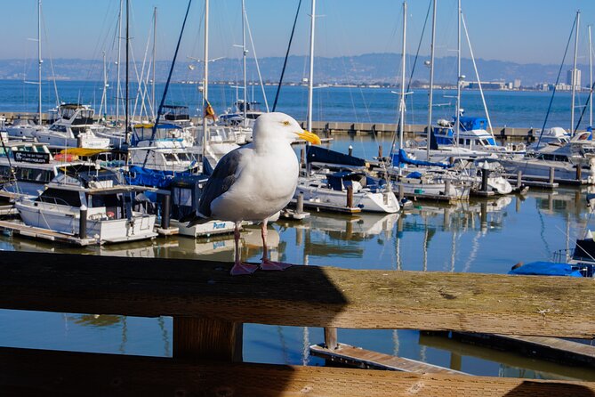 Fisherman’s Wharf & Pier 39 Food Tour - Includes Full Meal, 3 hrs - What $99 buys you