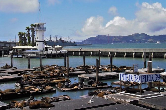 Fisherman's Wharf Walking Tour - Key points to know before you book