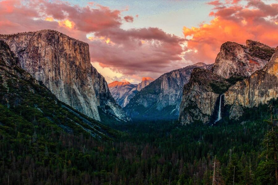 From San Francisco: Alcatraz Day and Yosemite Day Tour - The price makes sense only if transport is your priority
