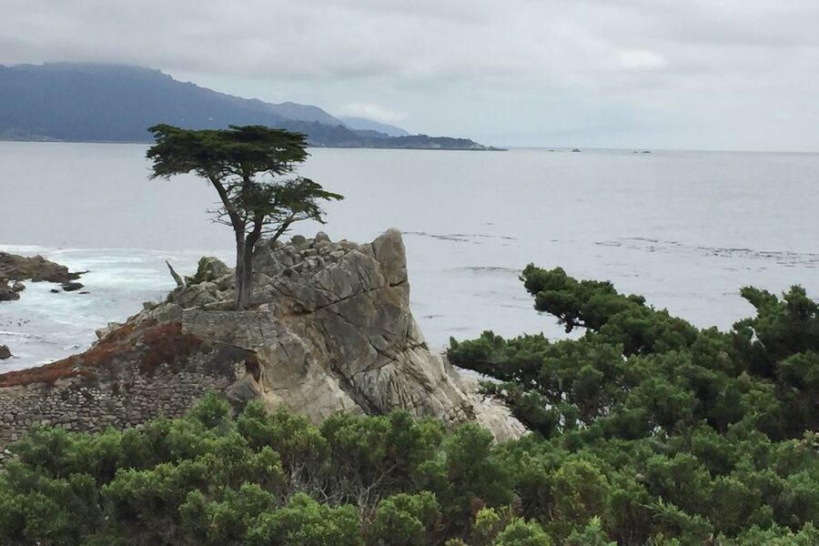 From San Francisco: Carmel, Monterey & Big Sur Private Tour - 17-Mile Drive and the Monterey Peninsula