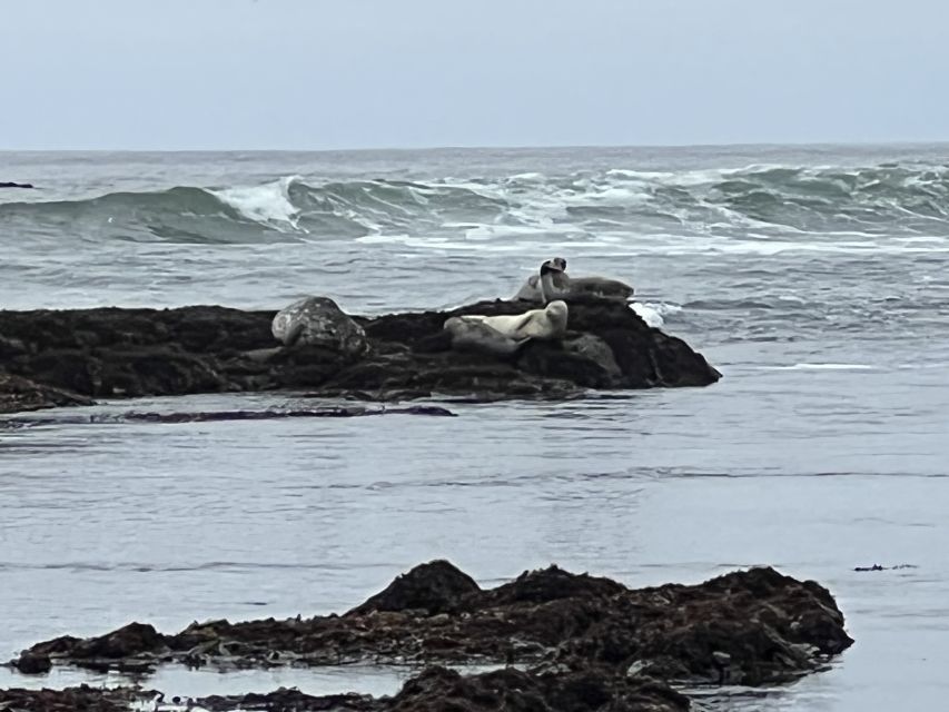 From San Francisco: Carmel, Monterey & Big Sur Private Tour - Big Sur and Bixby Creek Bridge