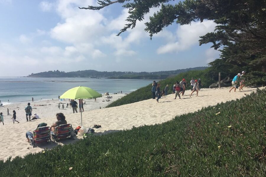 From San Francisco: Carmel, Monterey & Big Sur Private Tour - Point Lobos and the quieter side of the coast