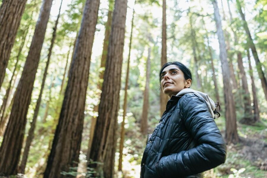 From San Francisco: Guided Muir Woods Tour - Key points at a glance
