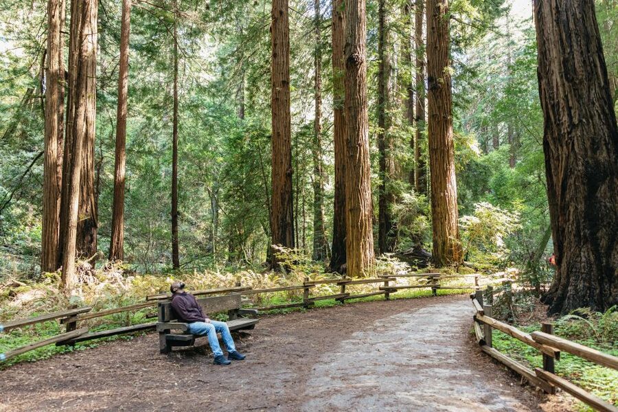 From San Francisco: Guided Muir Woods Tour - Is Muir Woods enough time?