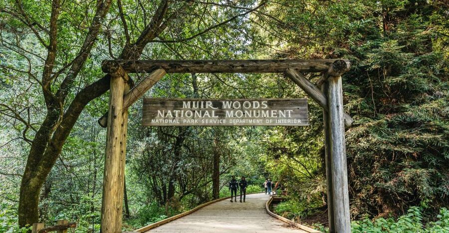 From San Francisco: Guided Muir Woods Tour - From Fisherman’s Wharf to the redwoods