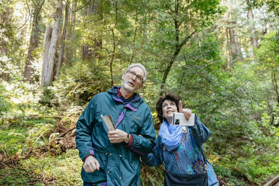 From San Francisco: Guided Muir Woods Tour - Practical timing and what to bring