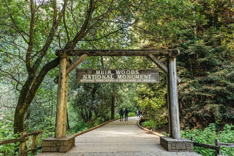 From San Francisco: Guided Muir Woods Tour - What the Muir Woods visit is really like