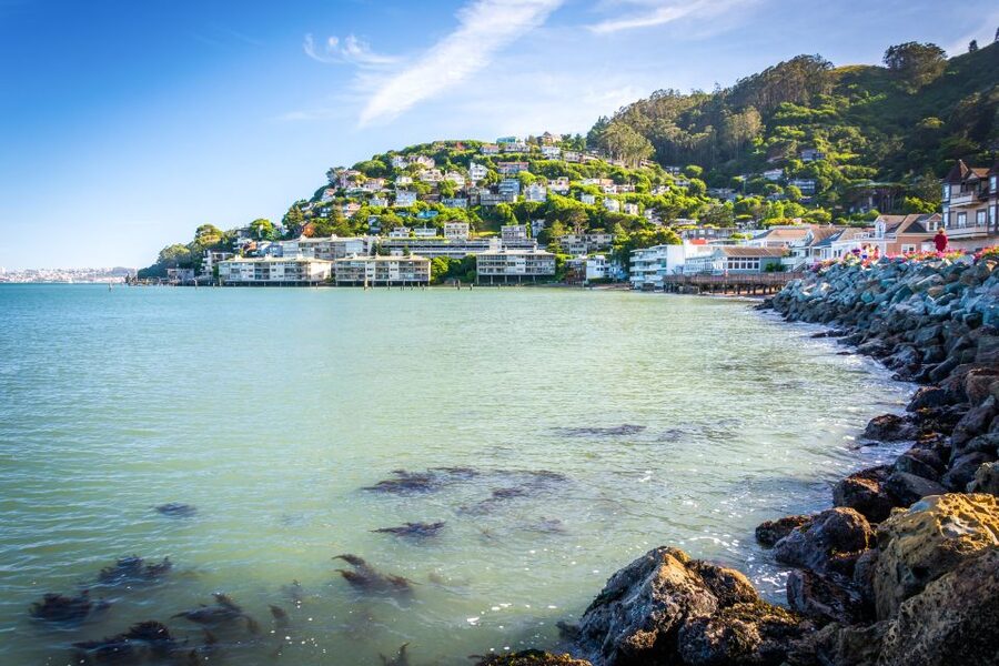 From San Francisco: Guided Tour to Muir Woods - Who Will Get the Most From This Tour?