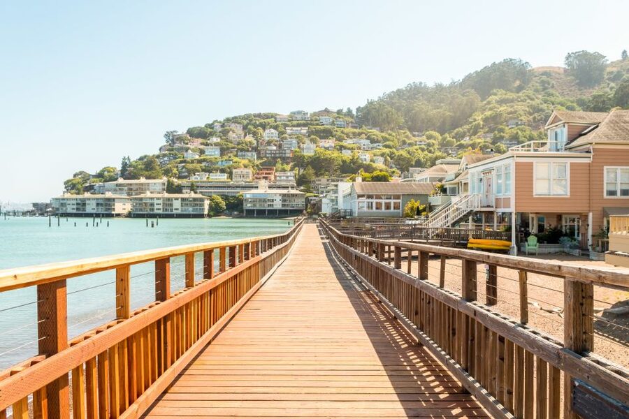 From San Francisco: Guided Tour to Muir Woods - My Booking Advice