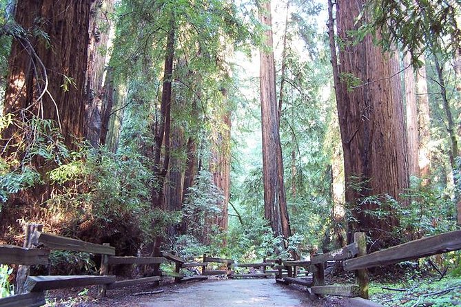 From San Francisco: Guided Tour to Muir Woods and Sausalito - From Fisherman’s Wharf to the Golden Gate Bridge