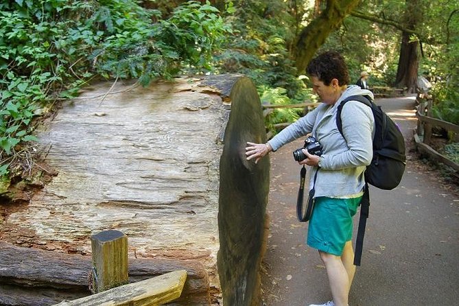From San Francisco: Guided Tour to Muir Woods and Sausalito - The optional Big Bus combination