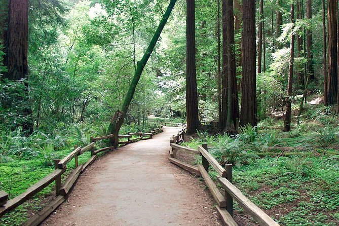 From San Francisco: Guided Tour to Muir Woods and Sausalito - Guide quality and the bus atmosphere