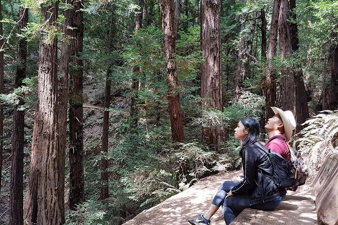 From San Francisco: Guided Tour to Muir Woods and Sausalito - Is $99 a fair price?
