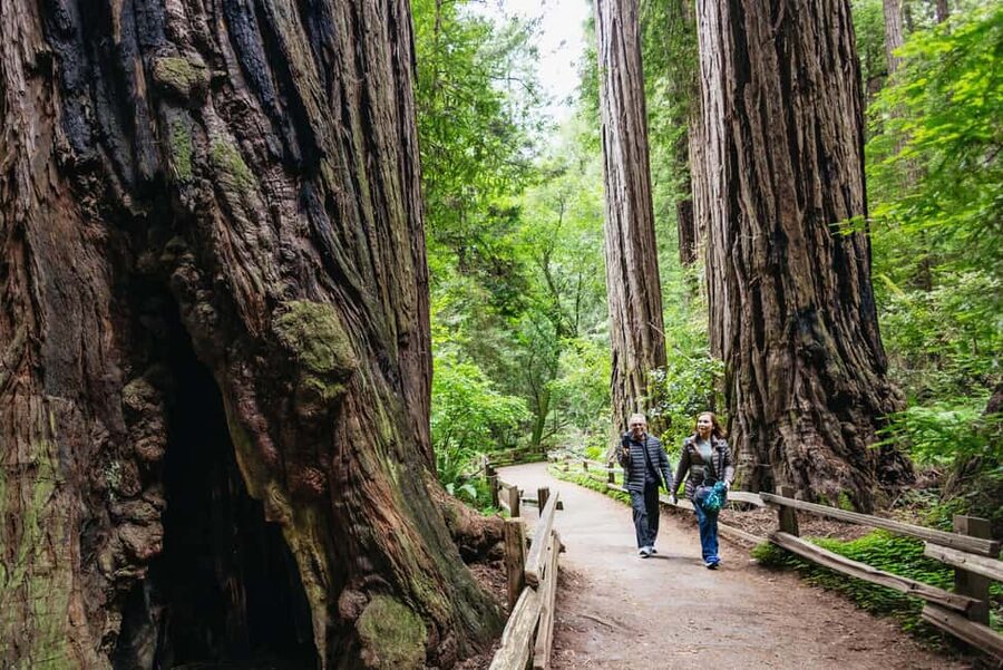 From San Francisco: Muir Woods, Sausalito and Alcatraz Tour - Crossing the Golden Gate Bridge with a Marin County view