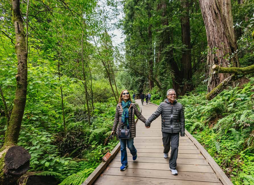 From San Francisco: Muir Woods, Sausalito and Alcatraz Tour - Sausalito in one hour: pretty, useful, and rushed