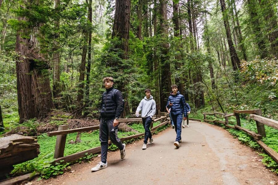 From San Francisco: Muir Woods, Sausalito and Alcatraz Tour - Alcatraz Cellhouse audio tour and island time