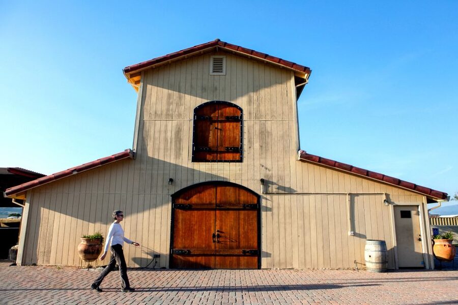 From San Francisco: Muir Woods Wine Tour with Napa & Sonoma - The Golden Gate photo stop depends on the weather