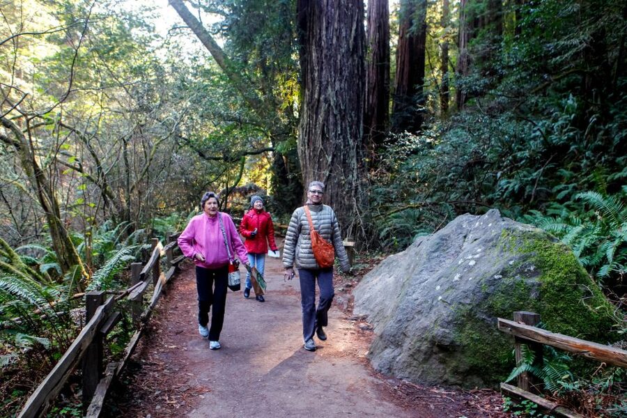 From San Francisco: Muir Woods Wine Tour with Napa & Sonoma - What $189 buys you, and what it does not