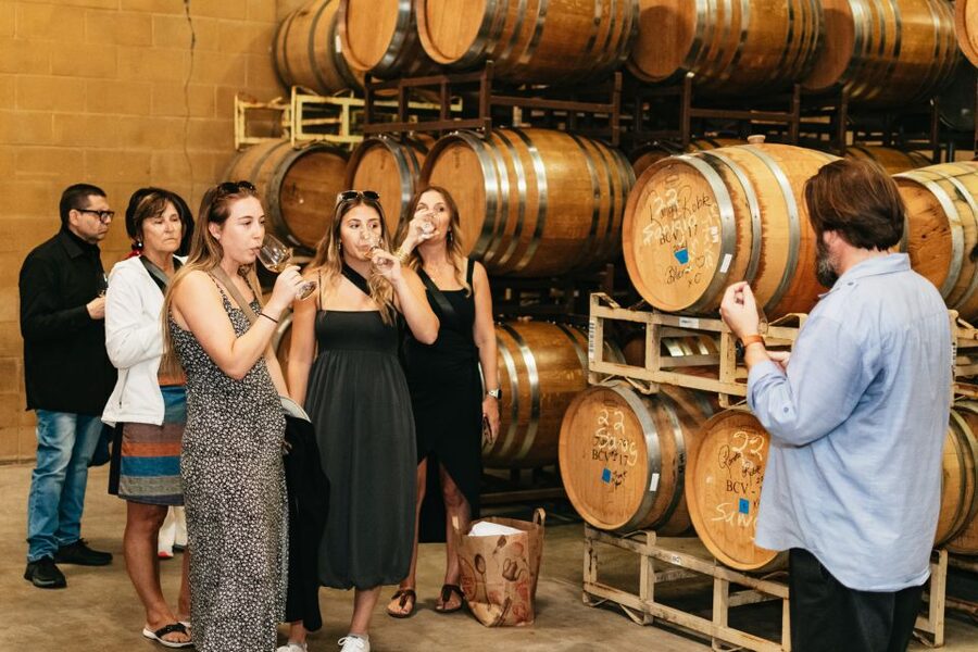 From San Francisco: Napa & Sonoma Valley Full-Day Wine Tour - Key points to know before booking