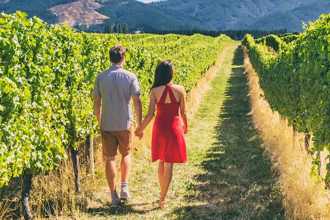 From San Francisco: Napa & Sonoma Valley Wine Tour with Tastings - Should you book the Napa and Sonoma tour?
