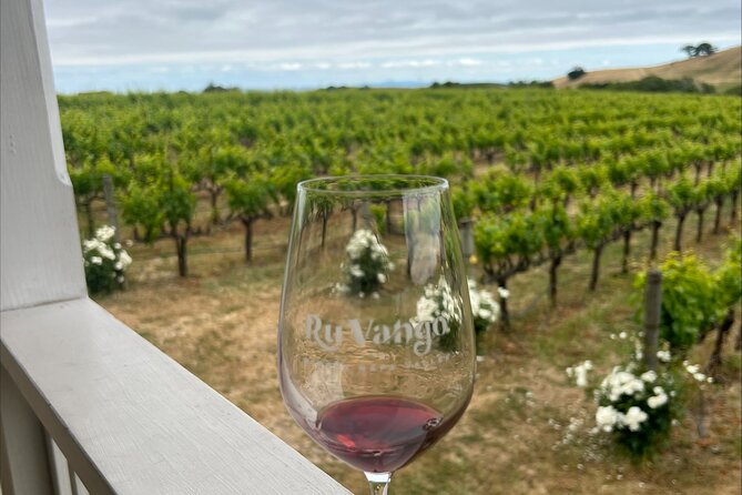 From San Francisco: Napa & Sonoma Valley Wine Tour with Tastings - Napa Valley: a first taste of California wine country