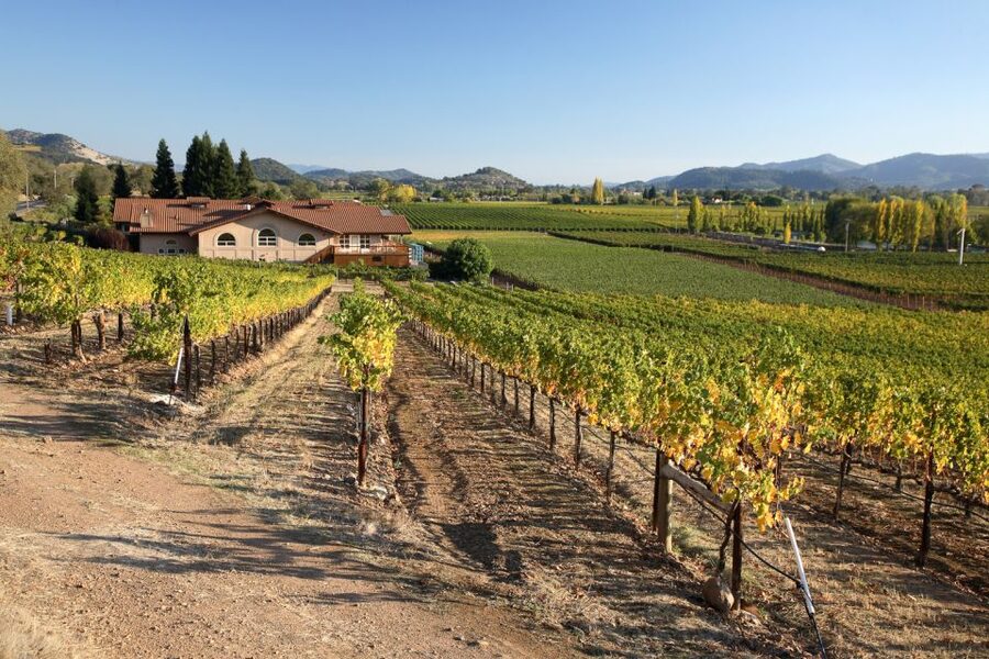 From San Francisco: Napa Valley Private Tour - A private start from San Francisco