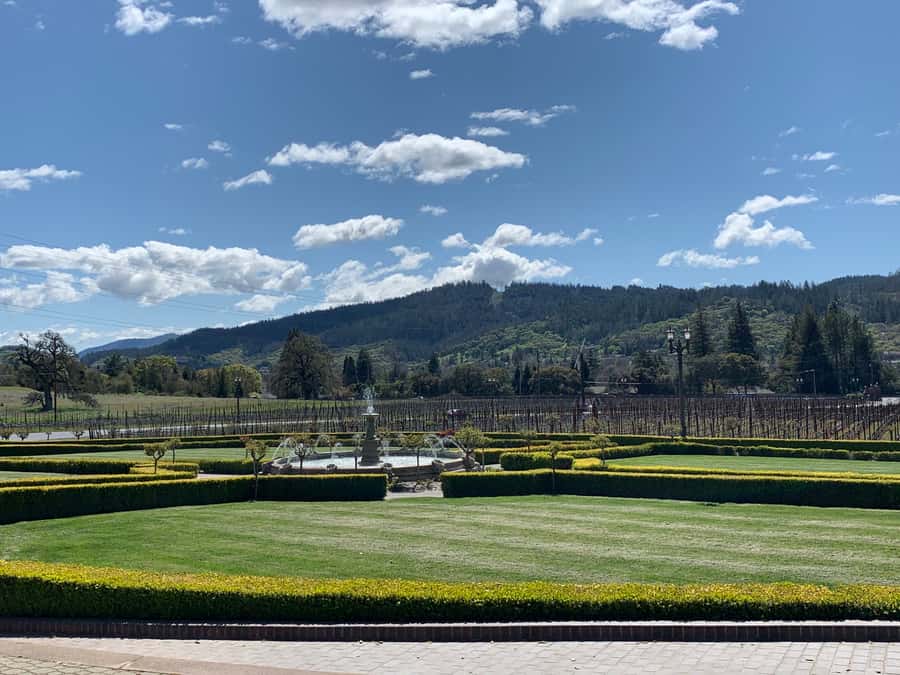 From San Francisco: Napa Valley & Sonoma Private Wine Tour - A private route from San Francisco to wine country
