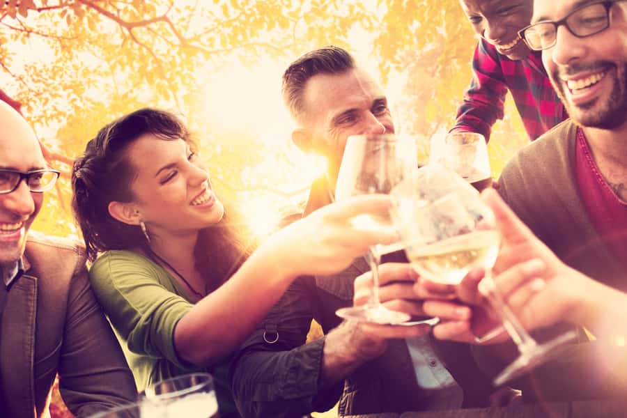 From San Francisco: Napa Valley & Sonoma Private Wine Tour - How to plan a better day with the concierge service