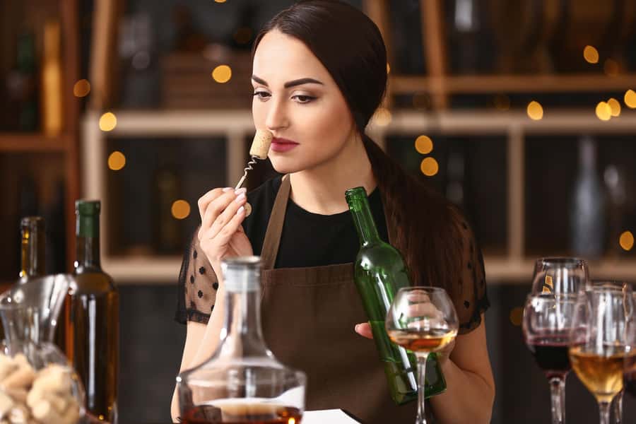From San Francisco: Napa Valley & Sonoma Private Wine Tour - Choosing between Napa, Sonoma, or both