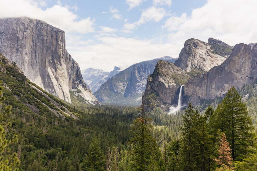 From San Francisco: Yosemite National Park Guided Day Trip - Guides, timing, and the occasional rough edge