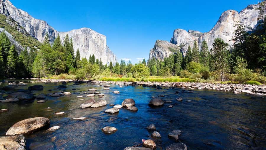 From San Francisco: Yosemite National Park Guided Day Trip - Why this day trip works from San Francisco
