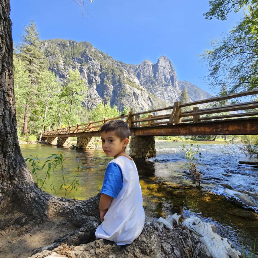 From San Francisco: Yosemite National Park Guided Day Trip - Food stops and what to pack