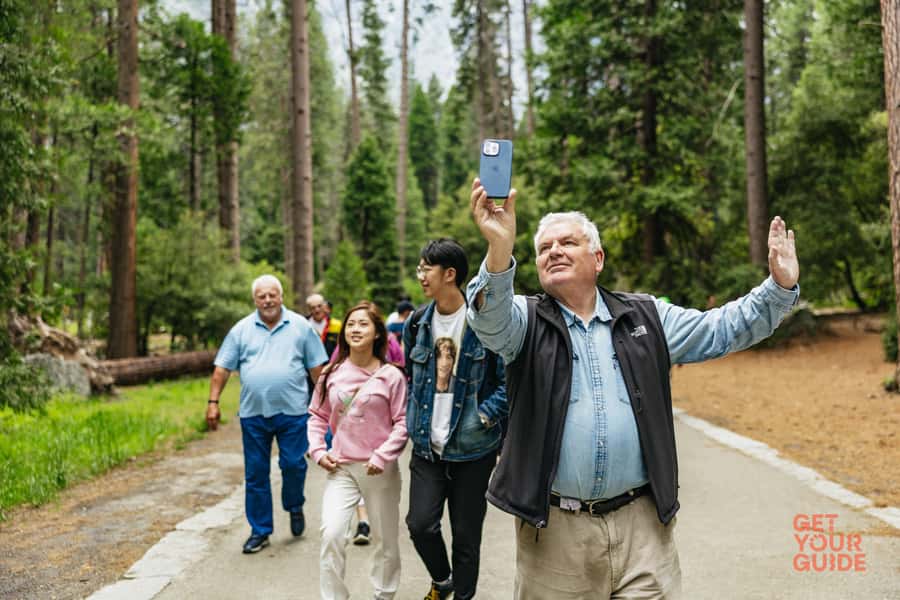 From San Francisco: Yosemite National Park Guided Day Trip - Is $197 a fair price?