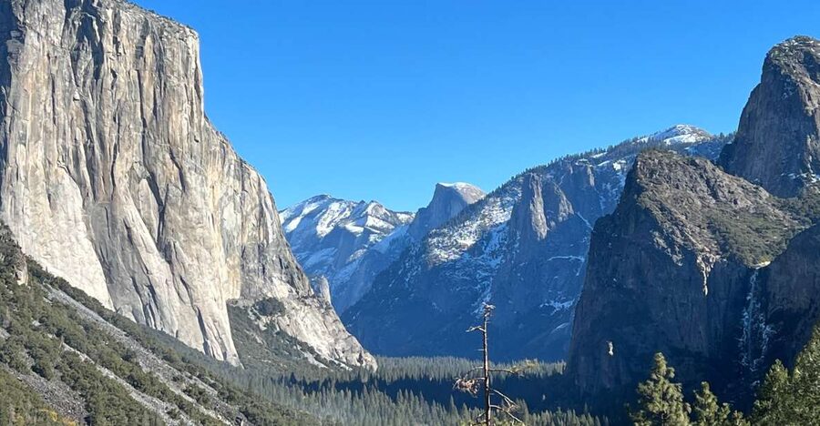 From San Francisco: Yosemite Private Full-Day Trip - Getting close to the giant sequoias
