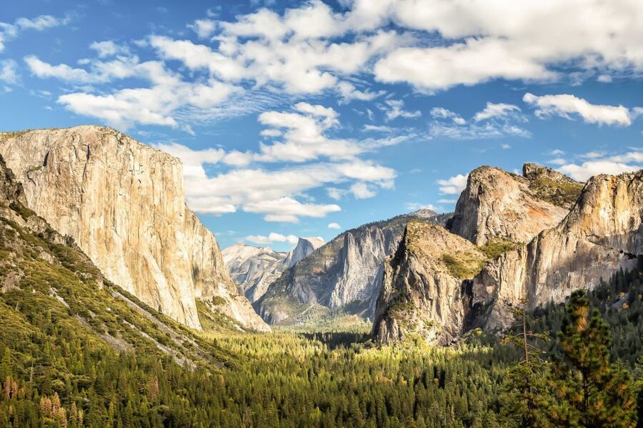 From San Francisco: Yosemite Private Full-Day Trip - What the $1,359 group price means