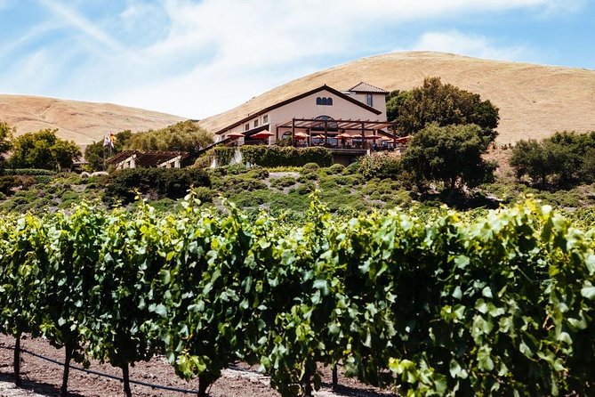 From SF : -8hr- Private Wine Tour & Custom Concierge.XL SUV - What an $669 private wine day really buys you
